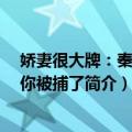 娇妻很大牌：秦先生 你被捕了（关于娇妻很大牌：秦先生 你被捕了简介）