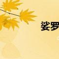娑罗花（关于娑罗花简介）
