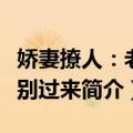 娇妻撩人：老公别过来（关于娇妻撩人：老公别过来简介）