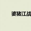 婆猪江战斗（关于婆猪江战斗简介）