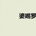 婆竭罗龙（关于婆竭罗龙简介）