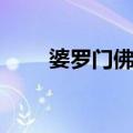 婆罗门佛塔（关于婆罗门佛塔简介）