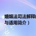 婚姻法司法解释的理解与适用（关于婚姻法司法解释的理解与适用简介）