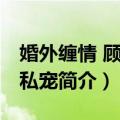 婚外缠情 顾少的私宠（关于婚外缠情 顾少的私宠简介）