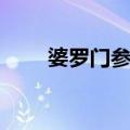 婆罗门参属（关于婆罗门参属简介）