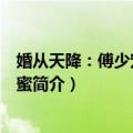 婚从天降：傅少宠妻甜蜜蜜（关于婚从天降：傅少宠妻甜蜜蜜简介）