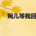 婉儿等我回来（关于婉儿等我回来简介）