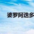 婆罗阿迭多王（关于婆罗阿迭多王简介）