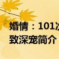 婚情：101次极致深宠（关于婚情：101次极致深宠简介）