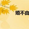 婚不由己（关于婚不由己简介）
