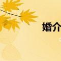 婚介网（关于婚介网简介）