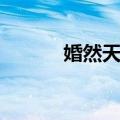 婚然天成（关于婚然天成简介）
