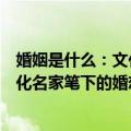 婚姻是什么：文化名家笔下的婚恋观（关于婚姻是什么：文化名家笔下的婚恋观简介）