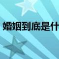 婚姻到底是什么（关于婚姻到底是什么简介）