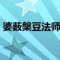 婆薮槃豆法师传（关于婆薮槃豆法师传简介）