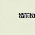 婚前协议（关于婚前协议简介）