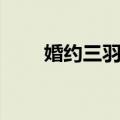 婚约三羽鸟（关于婚约三羽鸟简介）
