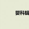 婴科辑要（关于婴科辑要简介）