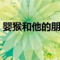 婴猴和他的朋友（关于婴猴和他的朋友简介）