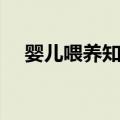 婴儿喂养知识（关于婴儿喂养知识简介）