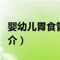 婴幼儿胃食管反流（关于婴幼儿胃食管反流简介）
