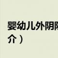 婴幼儿外阴阴道炎（关于婴幼儿外阴阴道炎简介）