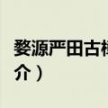 婺源严田古樟驿站（关于婺源严田古樟驿站简介）