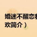 婚迷不醒恋着多喜欢（关于婚迷不醒恋着多喜欢简介）