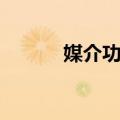 媒介功能（关于媒介功能简介）