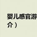 婴儿感官游戏书1（关于婴儿感官游戏书1简介）