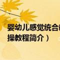 婴幼儿感觉统合教育实操教程（关于婴幼儿感觉统合教育实操教程简介）