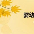 婴幼儿（关于婴幼儿简介）