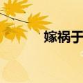 嫁祸于人（关于嫁祸于人简介）