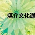 媒介文化通论（关于媒介文化通论简介）