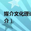 媒介文化理论概论（关于媒介文化理论概论简介）