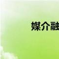 媒介融合（关于媒介融合简介）