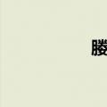 媵嫱（关于媵嫱简介）