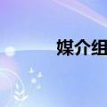 媒介组合（关于媒介组合简介）