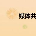 媒体共享（关于媒体共享简介）