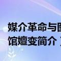 媒介革命与图书馆嬗变（关于媒介革命与图书馆嬗变简介）