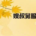 嫂叔舅服议（关于嫂叔舅服议简介）