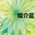 媒介蓝13（关于媒介蓝13简介）