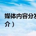 媒体内容分发技术（关于媒体内容分发技术简介）