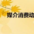 媒介消费动机（关于媒介消费动机简介）