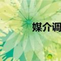 媒介调查（关于媒介调查简介）