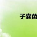 子囊菌纲（关于子囊菌纲简介）