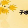 子喉七（关于子喉七简介）