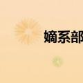 嫡系部队（关于嫡系部队简介）