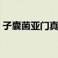 子囊菌亚门真菌（关于子囊菌亚门真菌简介）
