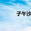 子午沙鼠（关于子午沙鼠简介）